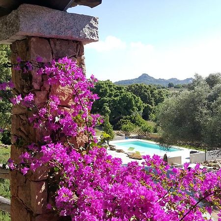 Agriturismo Desole Monti Luaran gambar