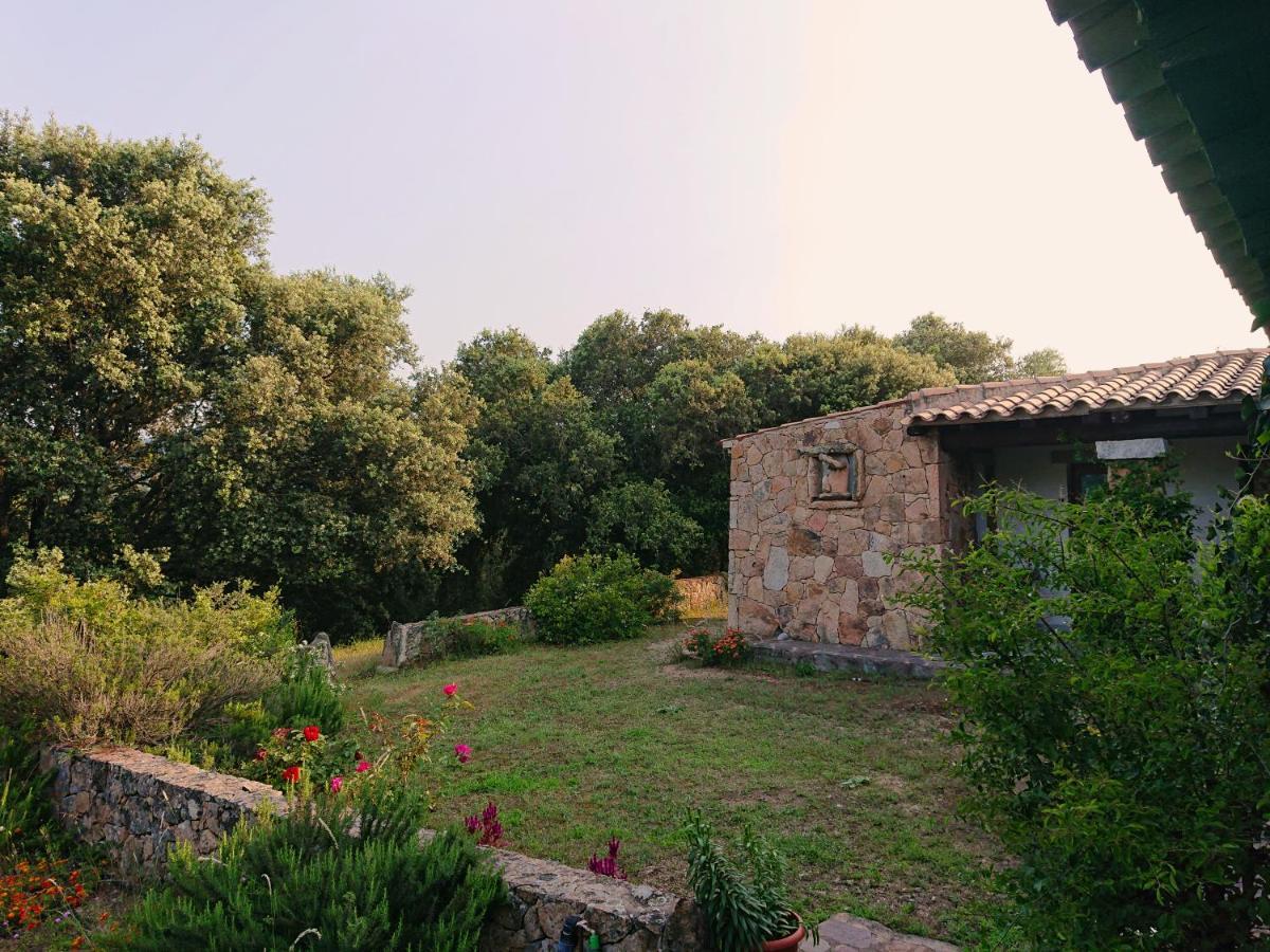 Agriturismo Desole Monti Luaran gambar