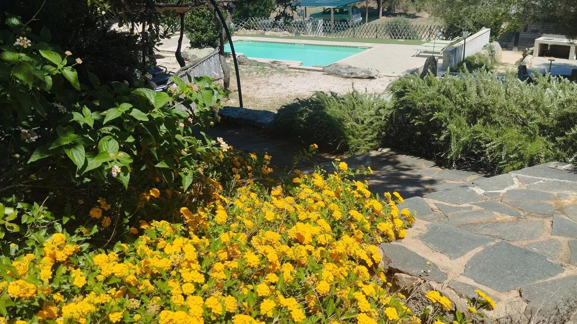 Agriturismo Desole Monti Luaran gambar